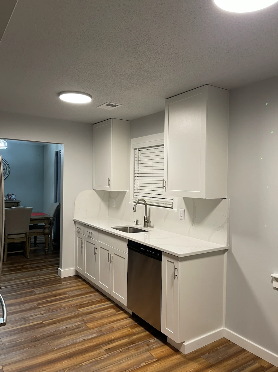 kitchen remodel